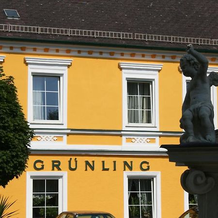 Gasthof Gruenling Wallsee ภายนอก รูปภาพ