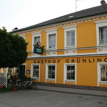 Gasthof Gruenling Wallsee ภายนอก รูปภาพ